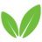 Codetree logo