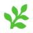 Fern logo