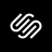 Squarespace DNS logo